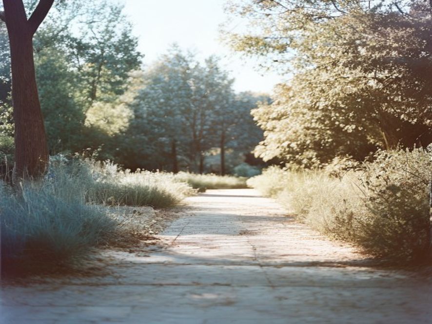 Natural outdoor setting with minimal technology presence, focused on natural elements